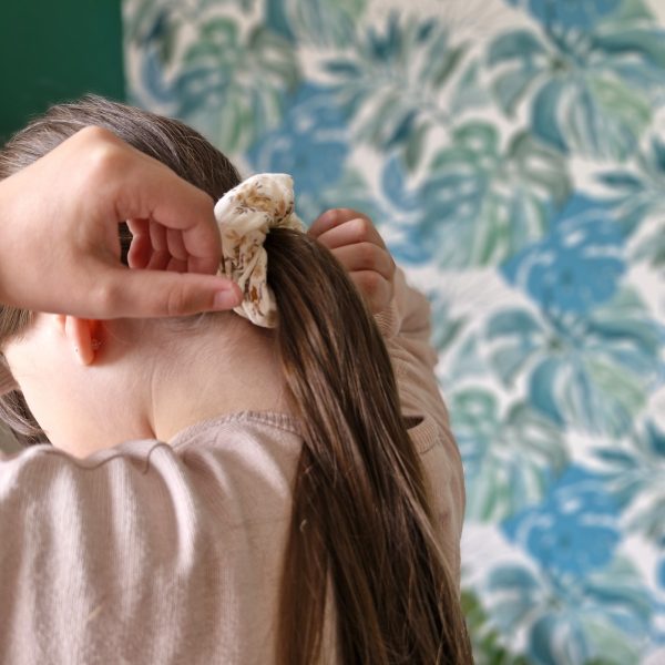 Chouchou coiffure cheveux